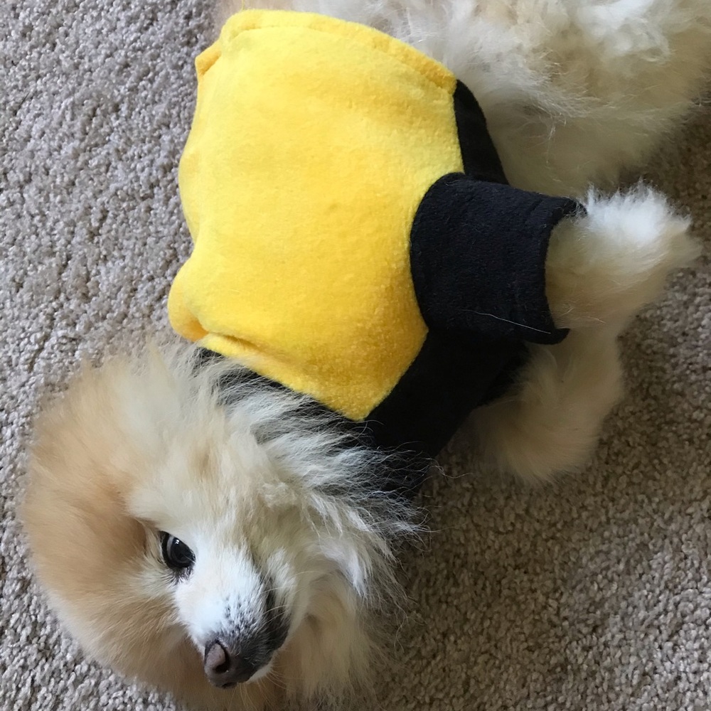 Small Dog Jacket - Picture 3 of 4